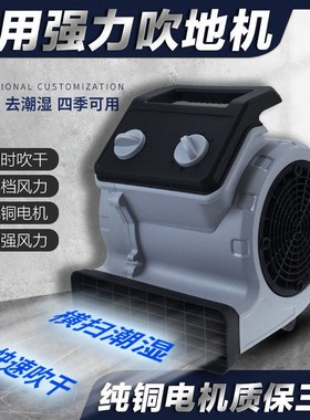家用小型地面吹干机商场用超市厕所地面大功率220v吹地地毯吹风机
