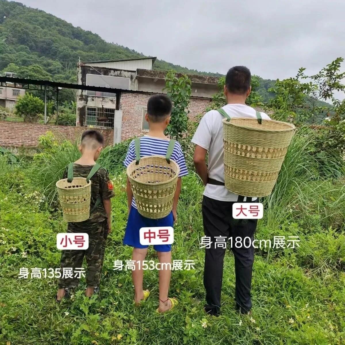 采茶专用背篓竹编篓子编织筐竹编篮子摘叶的腰篓传统背上茶篓装备