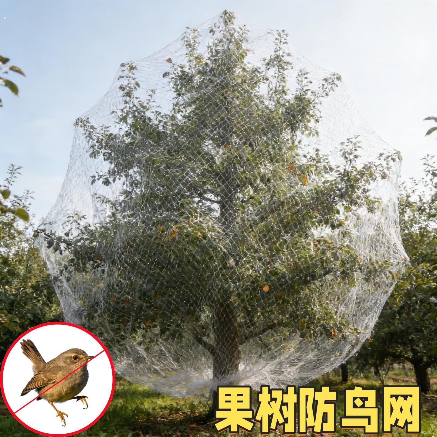 果树鸟防护网户外嘉拦宝果樱桃葡萄果园鸟用的网防麻雀防小鸟专用