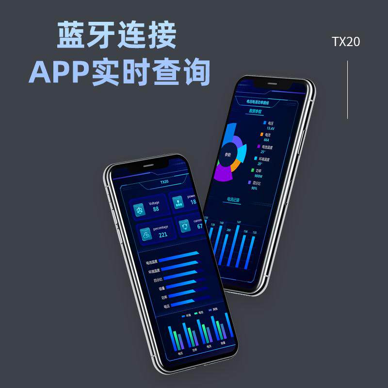 TX20蓝牙库仑计电瓶电动车房车电量显示器表检测仪计电池容量库伦