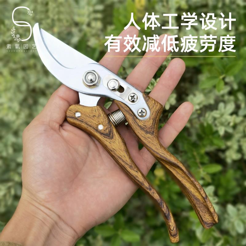 专业修枝剪园艺剪枝剪刀家用花艺工具园林果树强力粗枝剪弹簧图片