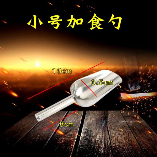 不锈钢加食器 鹦鹉鸟用加食勺鸟粮添食喂食工具喂鸟饲料铲加料器