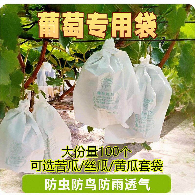 葡萄套袋专用袋子防虫鸟露天果园瓜果黄瓜丝瓜苦瓜防虫网袋100个