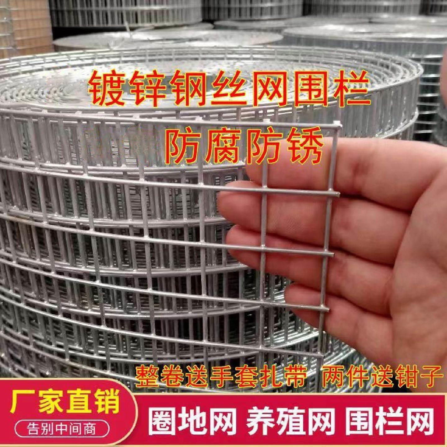 热镀锌钢丝网电焊网栏养殖鸡鸭兔鸽铁丝网围栏玉米围网圈地用网