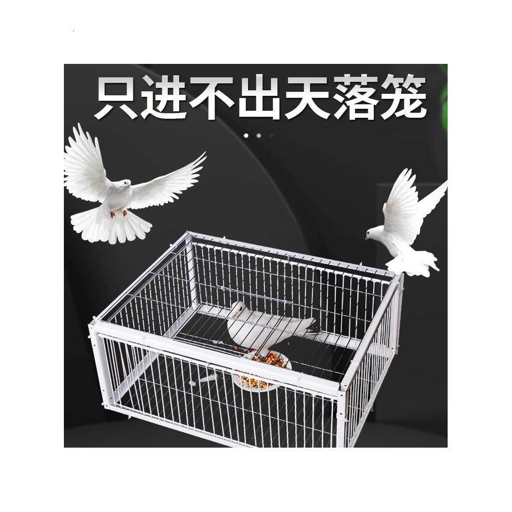 天落笼捕捉神器祇进不出鸟室外鸽子笼加厚加密全自动收活络撞门