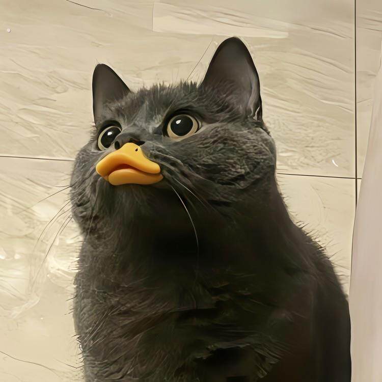 不鸡肋嘴套!猫咪鸭嘴套防咬防叫防乱吃宠物面罩猫咪拍照出片神器