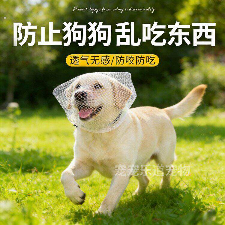 狗狗防乱吃头套防误食嘴套透气户外防偷吃头纱猫咪面罩宠物口罩