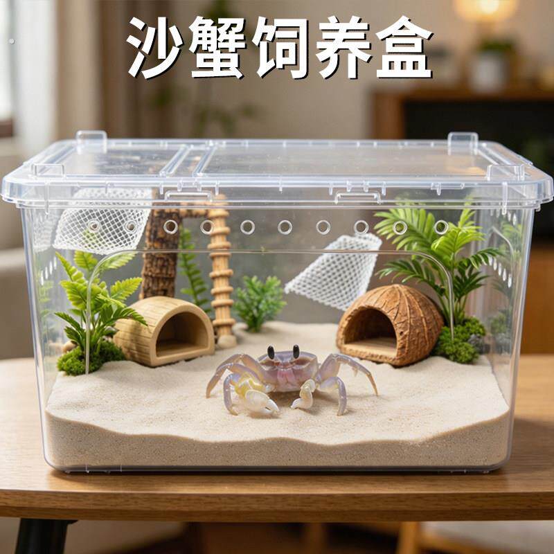 沙蟹饲养盒生态缸养殖专用饲养箱透气造景缸中华沙蟹观赏造景用品