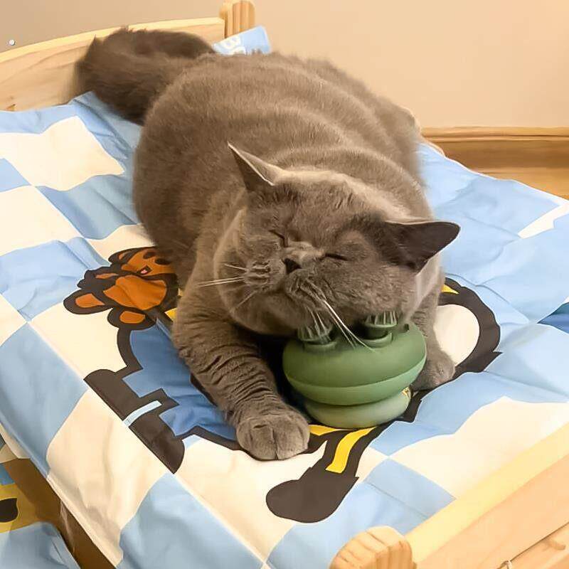 猫咪狗狗头部按摩器宠物自动梳毛器自动挠痒神器撸猫狗神器