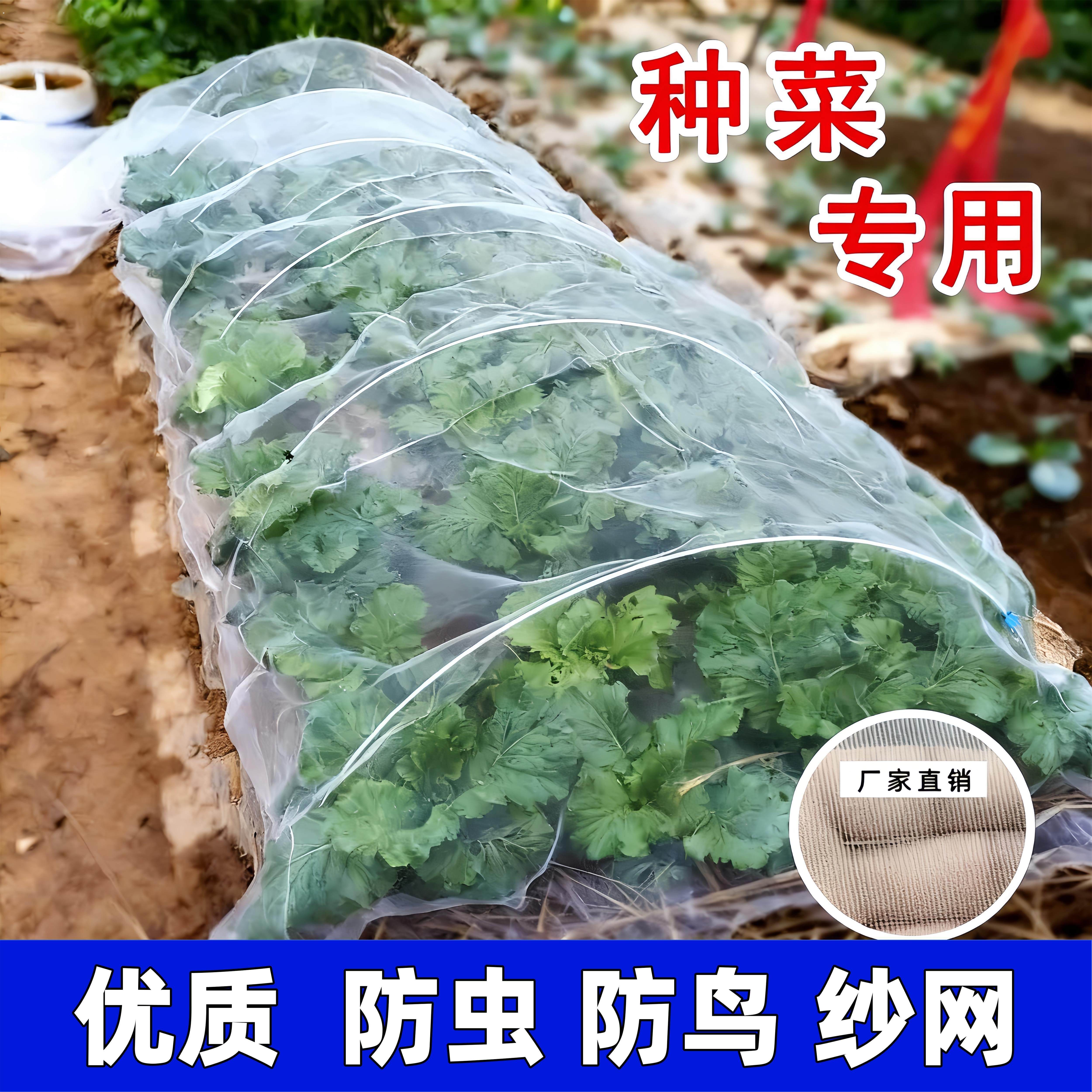 防虫网种菜专用80目大棚阳台菜园菜地蔬菜农村院子农用加厚密纱网