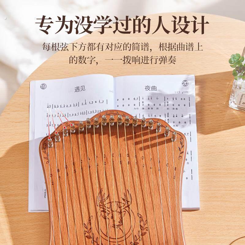 17音指弹弦琴弹拨西洋乐器简单易上手好玩冷门乐器稀奇古怪的乐器