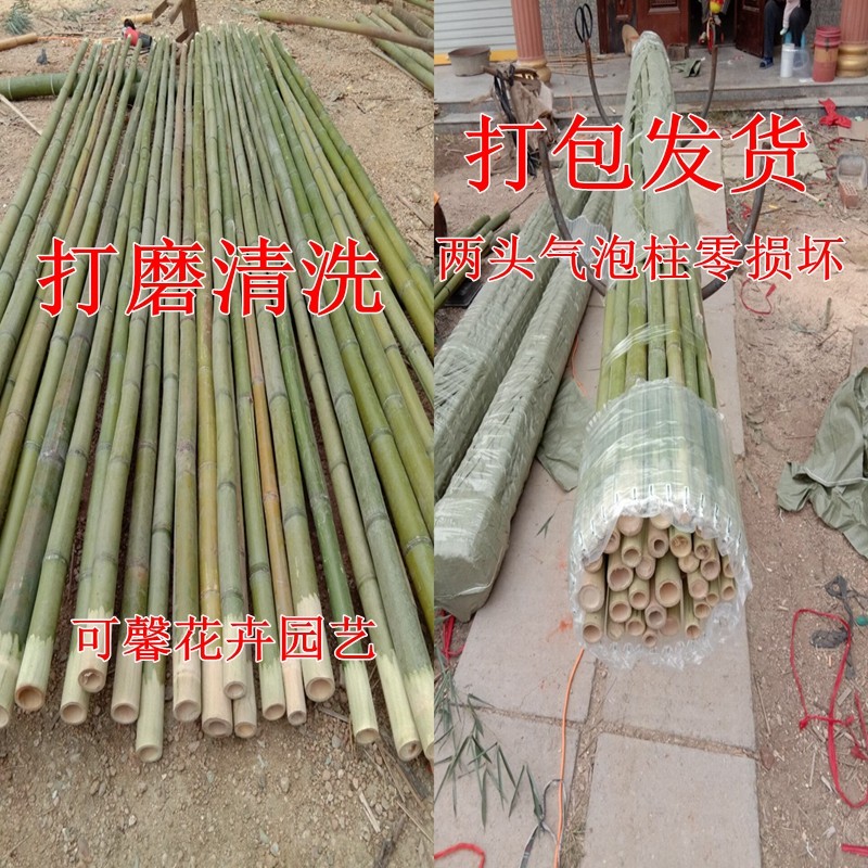 竹竿舞竹竿竹杠舞专用竹竿幼儿园跳舞用竹竿小学生舞蹈竹杆竹子