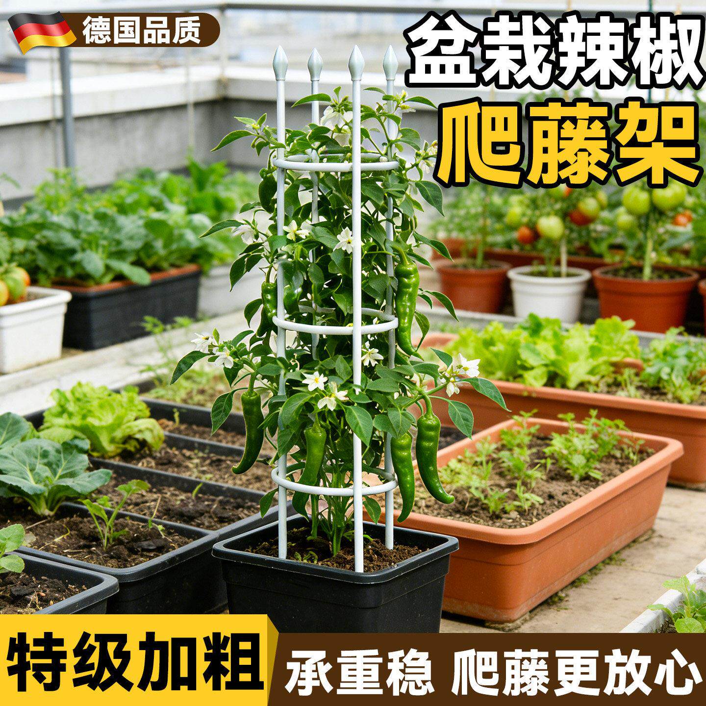 盆栽辣椒支撑架黄瓜豆角爬藤架阳台楼顶种菜架子葡萄西红柿支撑杆