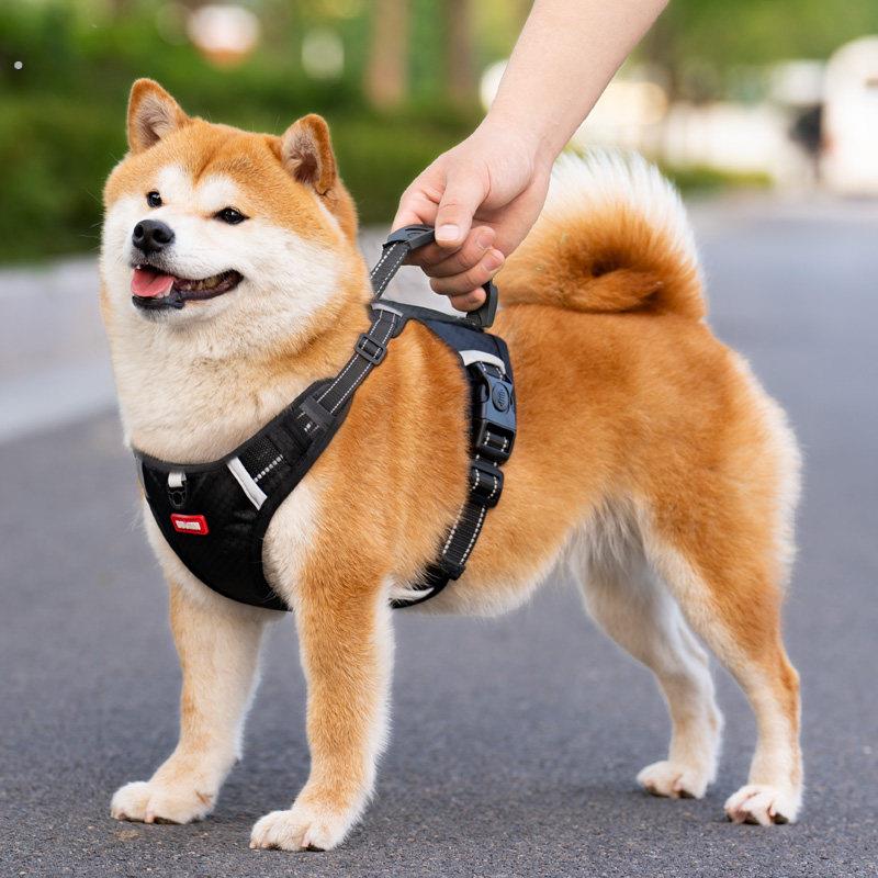 狗狗牵引绳胸背带遛狗绳子外出防挣脱柴犬柯基中大型犬背心式宠物