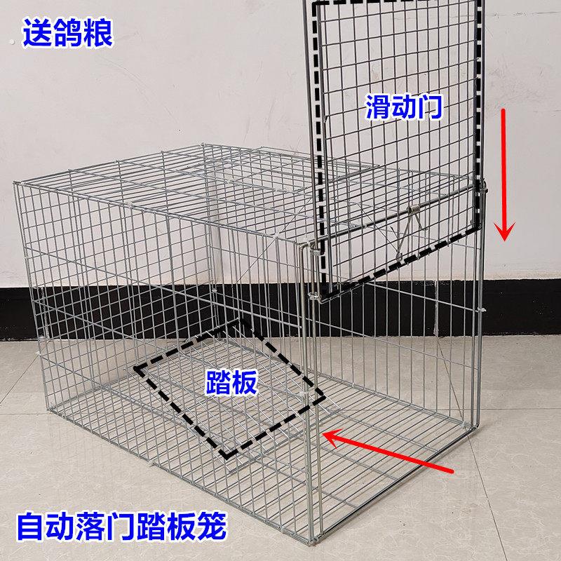 自动天落笼祇进不出鸽子笼户外捕捉养殖笼防锈收纳笼收猫笼收鸡笼