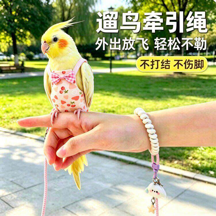宠物鹦鹉飞行衣服牡丹小太阳鸟外出遛鸟牵引绳衣服宠物服饰小宠用