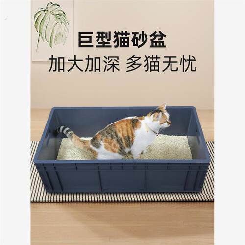 猫砂盆巨大100超大号集装箱周转箱特大号60斤40巨型全开放平替2