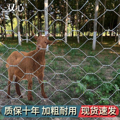 热镀锌六角网铁丝围栏养殖圈牛羊猪钢丝护栏防护网加粗防锈拧花网