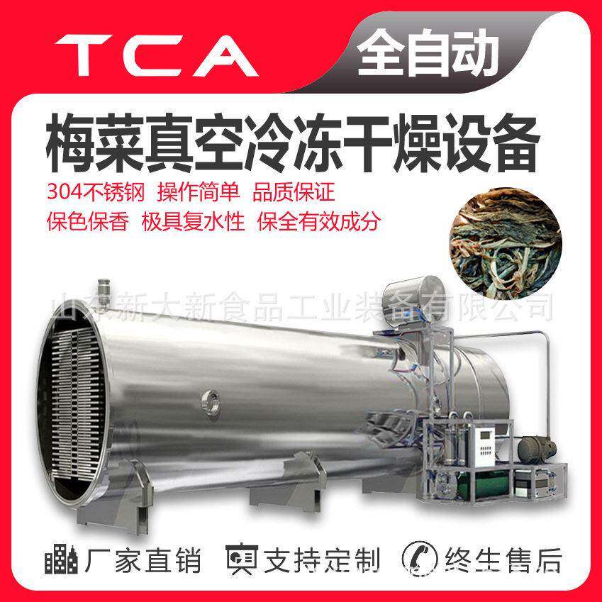 真空冻干机梅菜加工设备冷冻干燥机