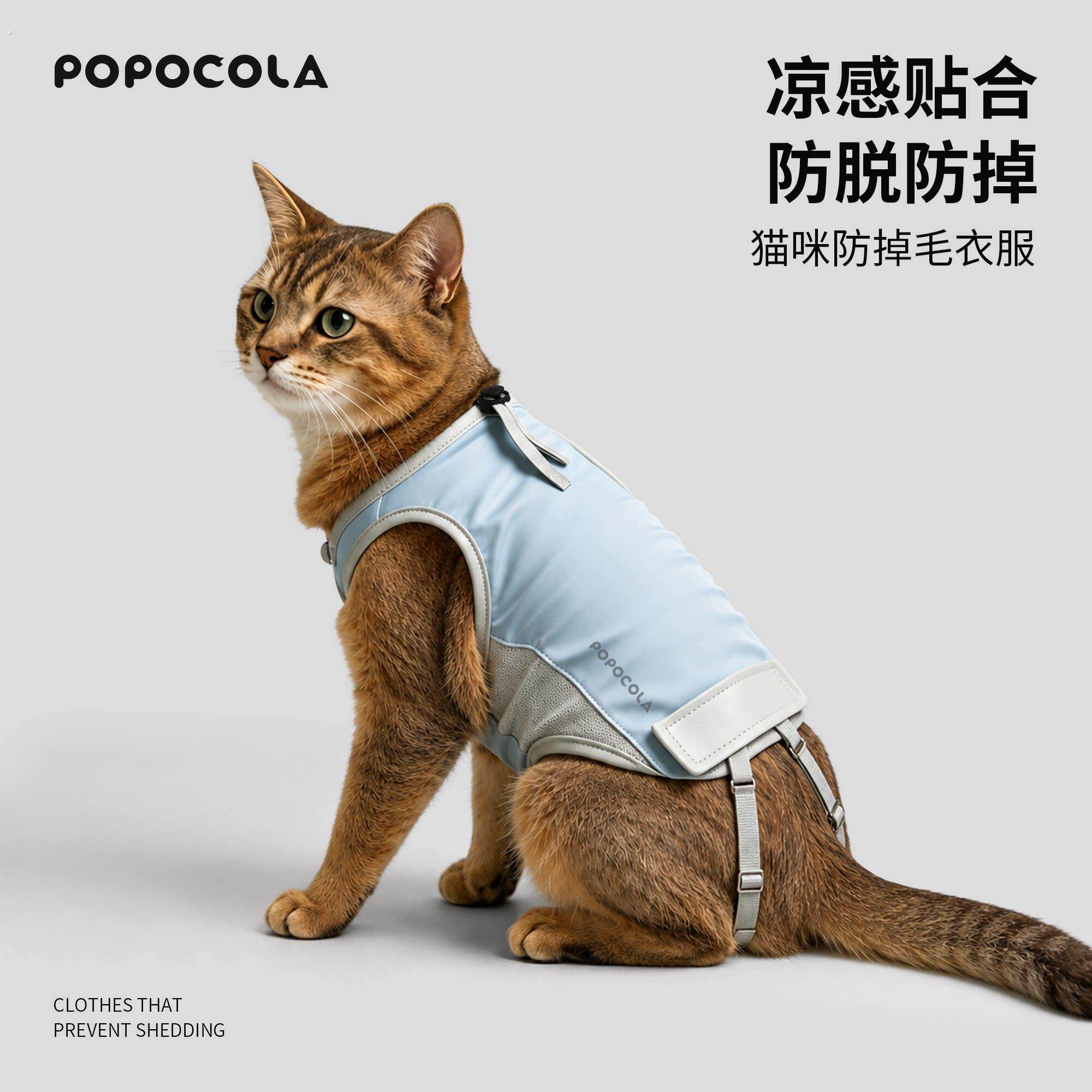 猫咪衣服防掉毛薄款夏天宠物凉凉衣德文布偶小猫猫夏季护肚衣透气