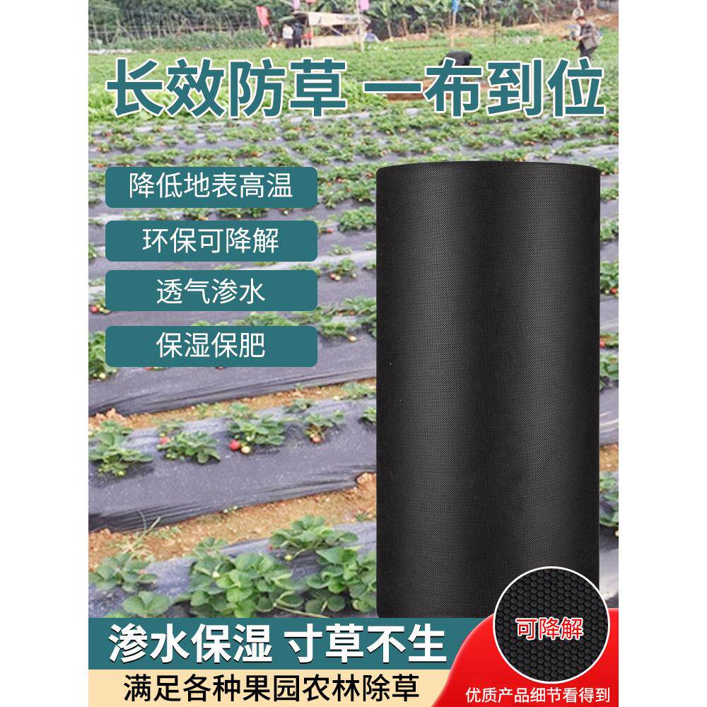 农用防草布抗老化加厚生态无纺布除草园艺地布可降解果树茶园大棚