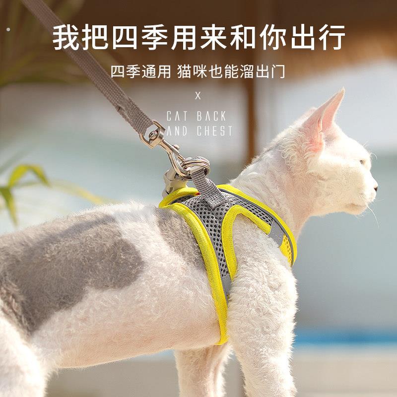 猫咪牵引绳外出猫链子可调节防挣脱溜猫专用猫绳子夏季透气幼猫猫