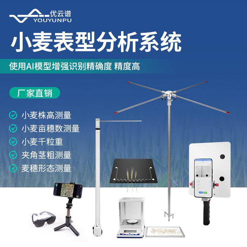小麦表型分析系统麦穗形态小麦亩穗数测量系统小麦表型测量分析仪