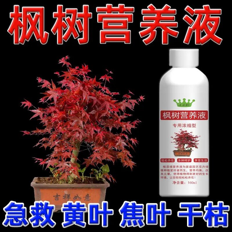 八个老头枫树营养液专用浓缩型防黄叶促红叶艳丽植株壮成长植添禧