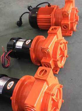直流DC24V1寸大头齿轮减速大流量12V车载加油机柴油泵ac220V