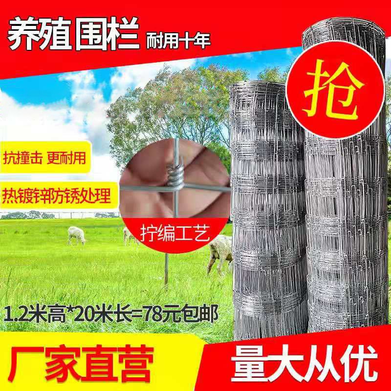 镀锌铁丝网围栏护栏栅栏防护网草原网养殖牛栏网围网铁网钢丝网