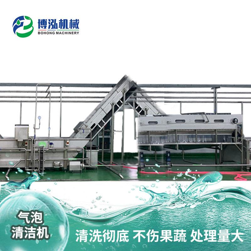 芒果清洗机鼓泡橙子气泡清洗机鼓浪清洗设备冲浪清洗机厂家