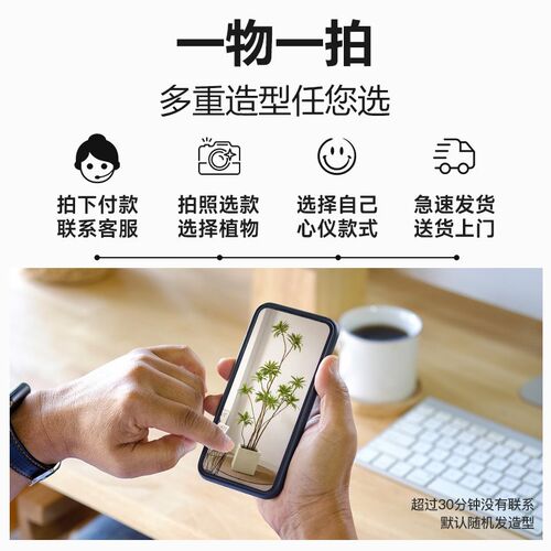 百合竹客厅真绿植室内大型盆栽绿色植物金边百合树龙血树轻奢好养