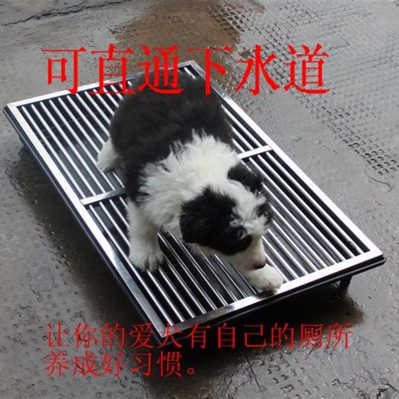 不锈钢狗厕所 宠物狗狗便盆 小型犬中型犬 泰迪 金毛 直通下水道