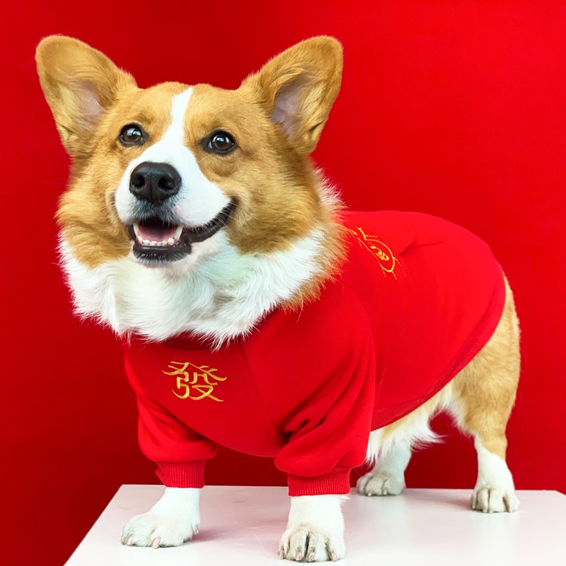 柯基狗新年衣服加厚保暖秋冬装中小型犬柴犬喜庆过年拜年宠物唐装