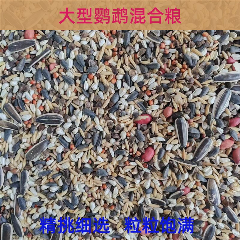 大型鹦鹉鸟食鸟粮金刚金太阳亚历绯胸灰鹦鹉折衷葵花饲料鸟粮