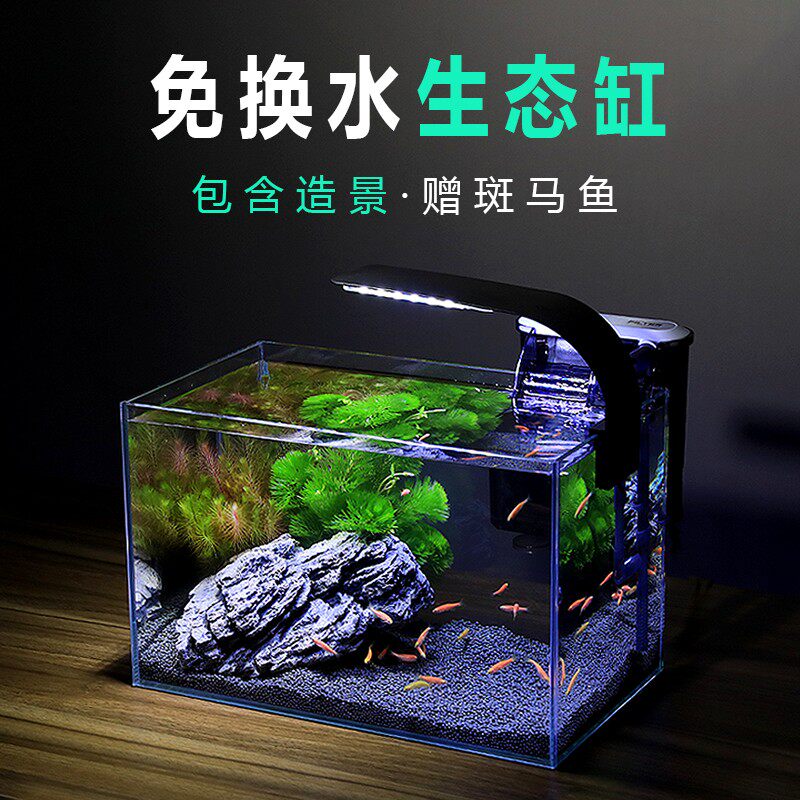 超白鱼缸小型生态缸造景全套客厅电视柜旁懒人免换水创意家用桌面