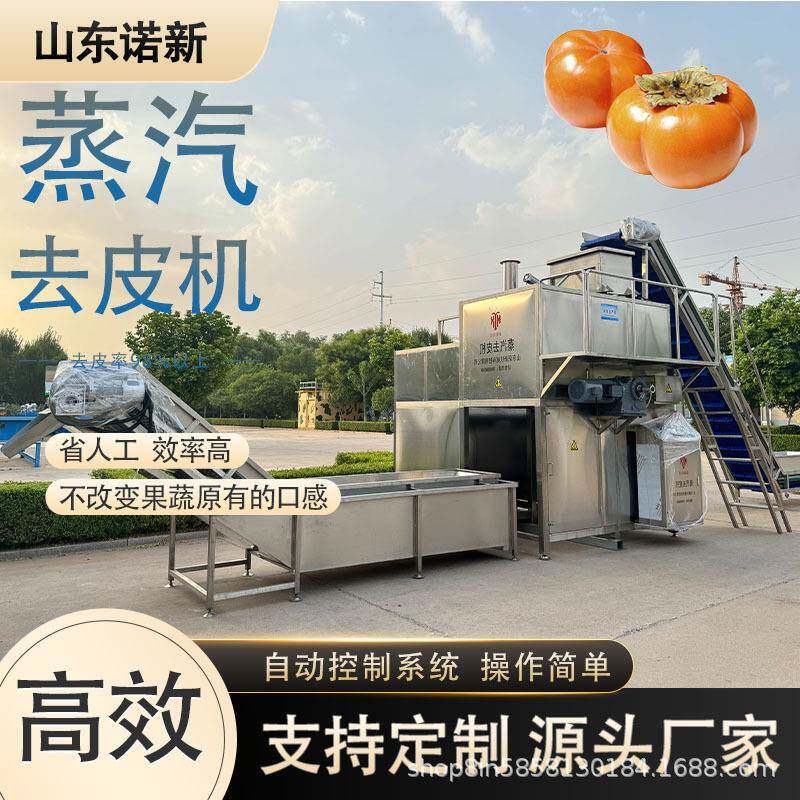 黄桃去皮机土豆红薯加工机器设备芒果蒸汽剥皮机