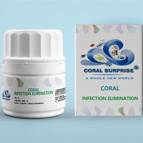 CS小白瓶 珊瑚感染  STN/RTN 布朗冻 真叶硬骨检疫