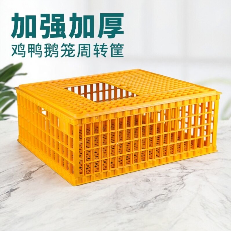 鸡笼家禽运输筐鸡用加厚大号塑料家用养殖鸡鸭鹅兔子运输笼周转箱