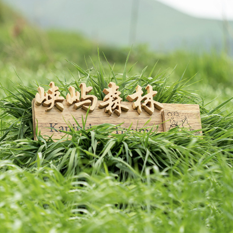 创意木质招牌木雕私人花园实木草地牌公园指路索引牌木刻字指示牌