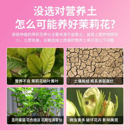 茉莉花专用营养土养花专用花土肥料专用肥土盆栽种花卉土壤种植土