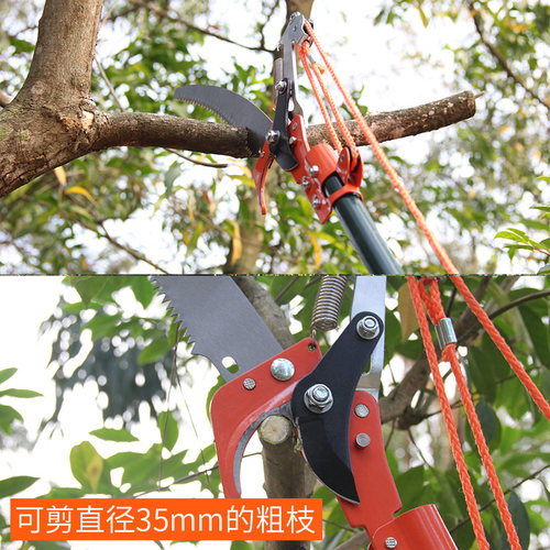 朗祺高空剪高枝锯摘果修枝剪刀可伸缩省力园林果树枝园艺工具采摘