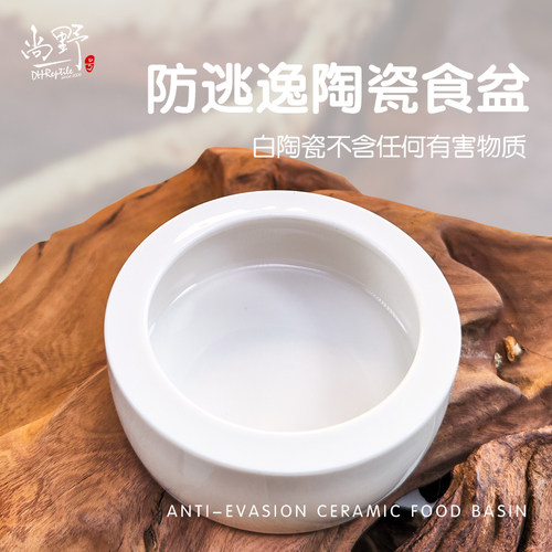 爬虫守宫蜥蜴食盆防逃逸爬宠鬃狮蜘蛛饲养箱活面包虫杜比亚陶瓷