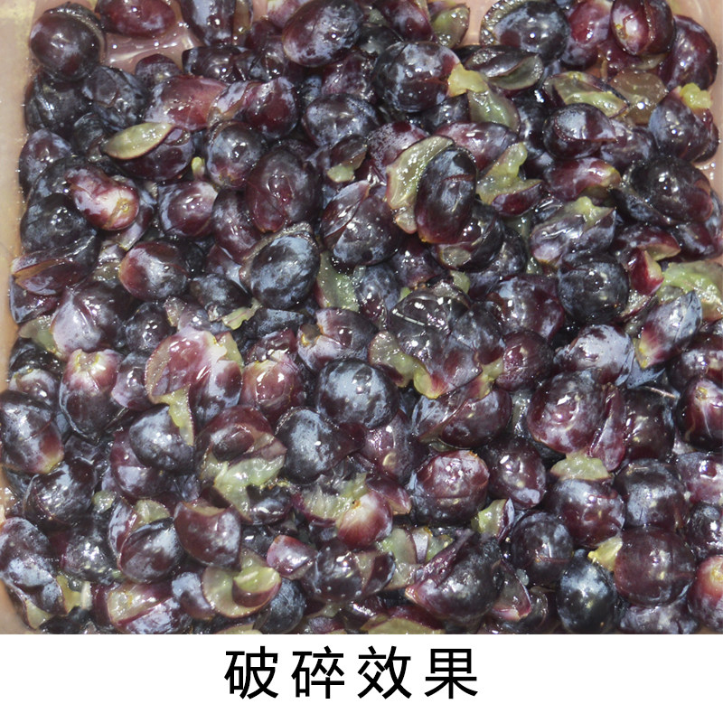 304不锈钢电动葡萄破碎机 破碎器 破碎桑葚樱桃草莓树莓 酿酒设备