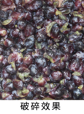 304不锈钢电动葡萄破碎机 破碎器 破碎桑葚樱桃草莓树莓 酿酒设备