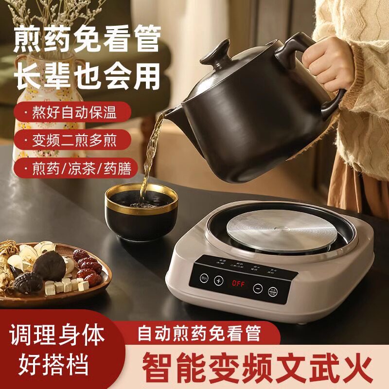 锂辉石多功能儿童老人款中药材电煎药壶药罐家用煎锅中医熬药煲