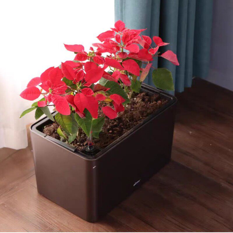 阳台种植箱长条型塑料深盆高脚盆实木带脚室内花箱懒人自吸水花盆
