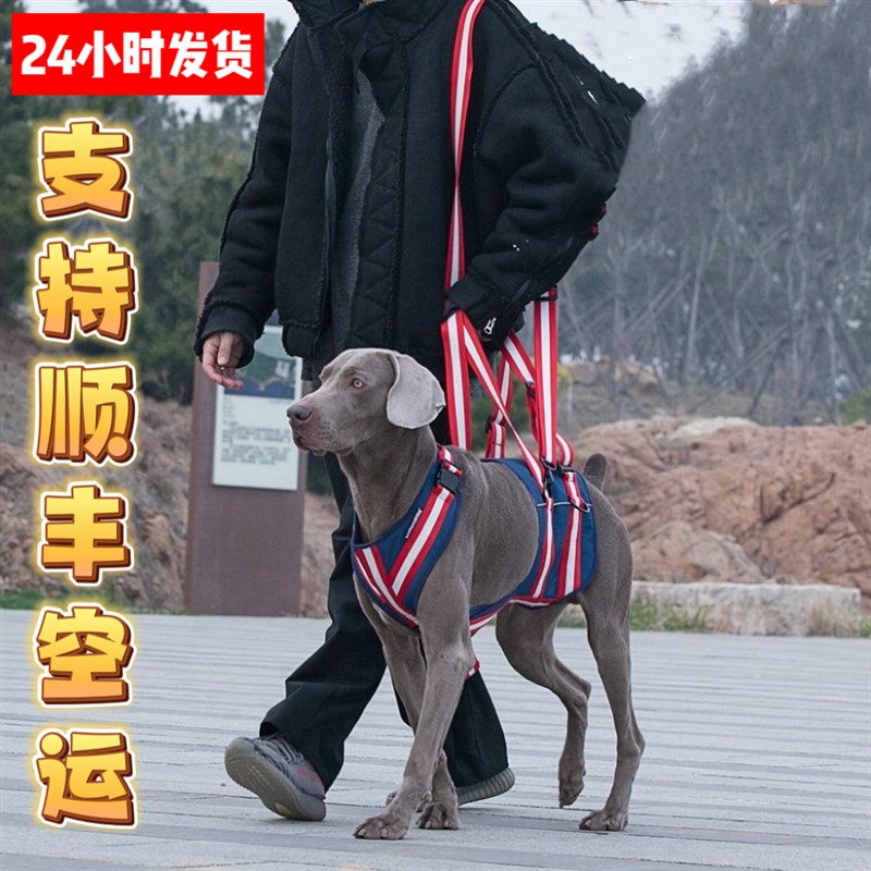 宠物狗狗后腿辅助带中大型老年犬残疾瘫痪助力行走路前肢康复背带