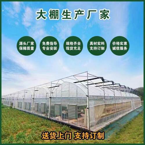 大棚骨架养殖蔬菜家用种植温室专业养猪棚羊棚养鸡牛棚全套钢管