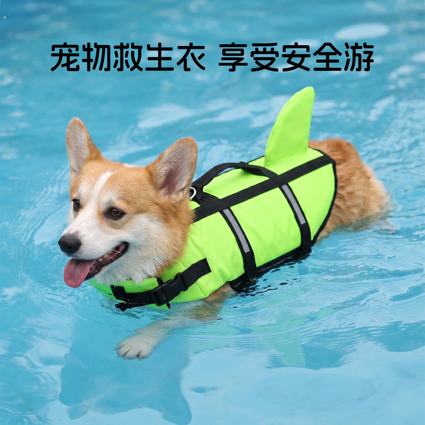 宠物狗狗救生衣夏季游泳柯基中型犬小型犬泳衣夏安全浮力户外泳池